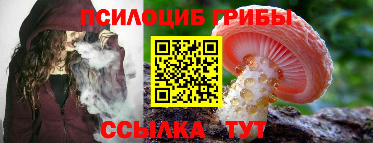 Звенигород  Псилоцибиновые грибы Psilocybe  Вход с VPN  Псилоцибиновые грибы Cubensis 